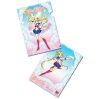 sailor moon folder