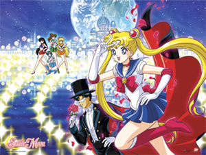 sailor moon group moon kingdom wallscroll