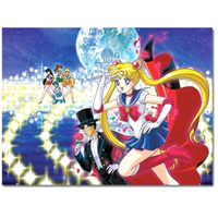 sailor moon puzzle