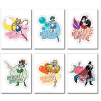 sailor moon sailor scouts / guardians sticker set