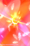 Sailor Moon Mobile Phone / Cellphone / iPhone Wallpaper