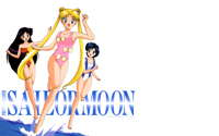Sailor Moon Wallpaper: Sailor Moon Swimsuit Special