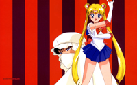 Sailor Moon Wallpaper: Sailor Moon and Moonlight Knight